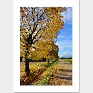 Autumn in Rural North East Italy Posters and Art